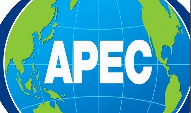 共赴深圳之約　共創美好明天——國際社會熱切期待亞太經合組織「中國年」