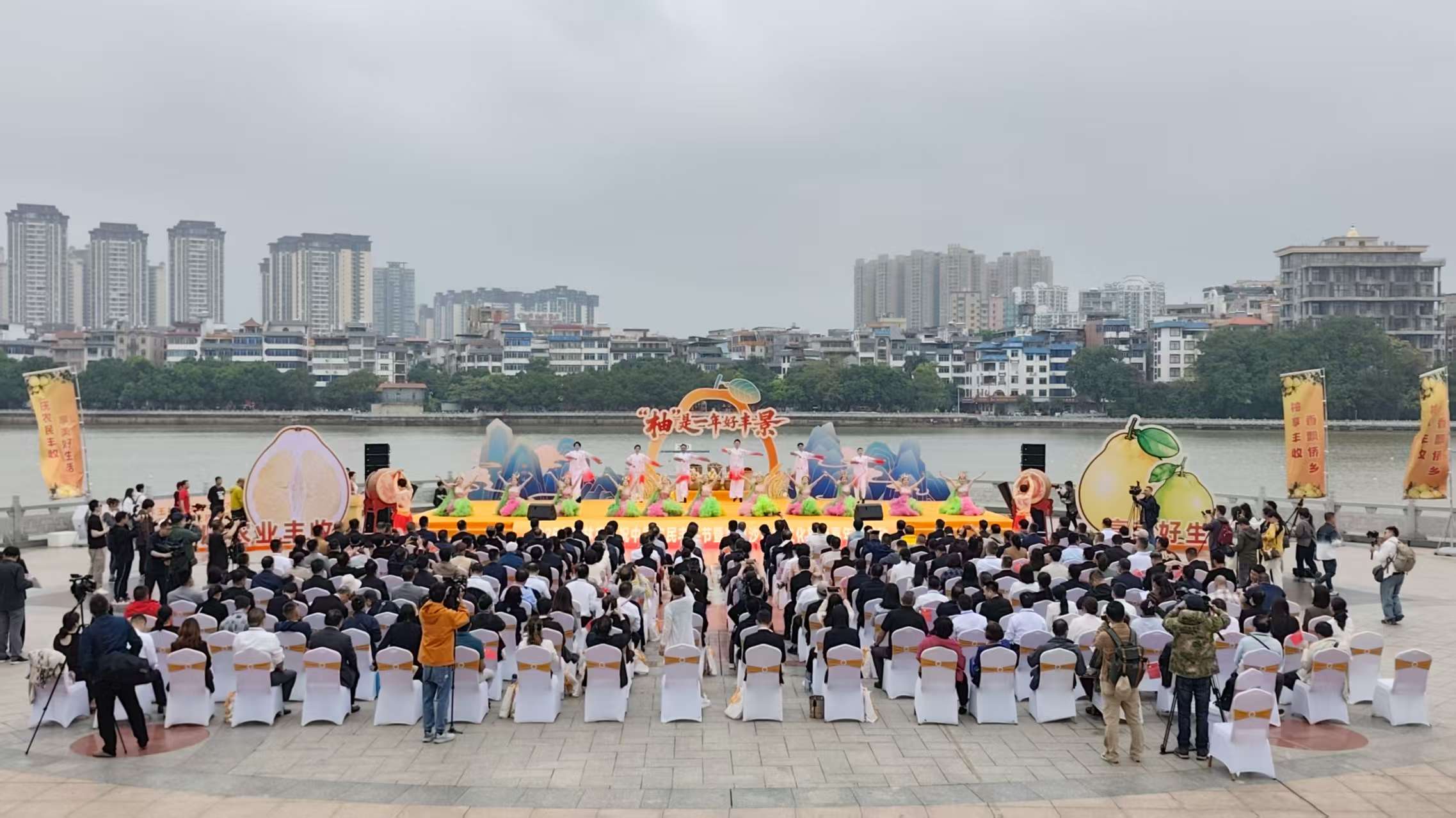 有片丨桂容縣立足自身優勢 促進鄉村全面振興