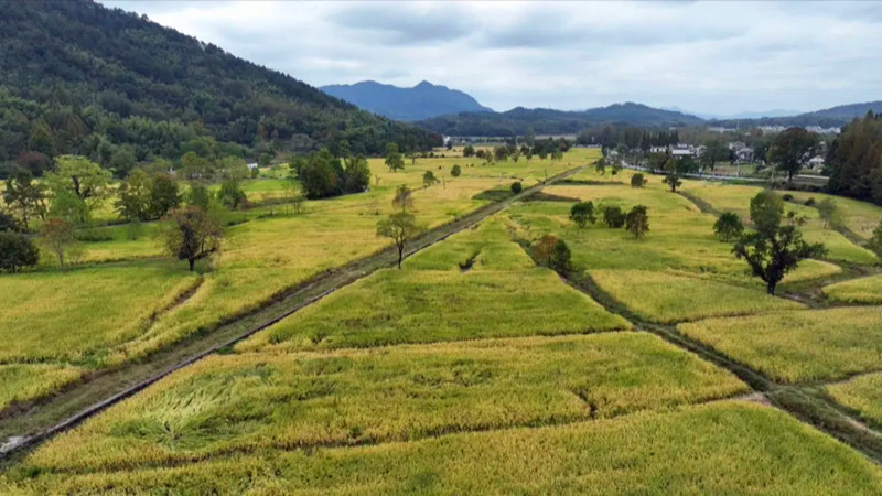 皖黟縣宏村塔川：多元業態激活鄉旅新活力