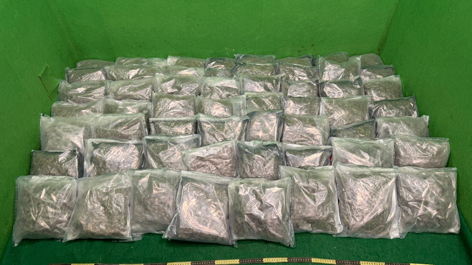 海關機場檢值560萬元大麻花 拘捕台北抵港19歲女子