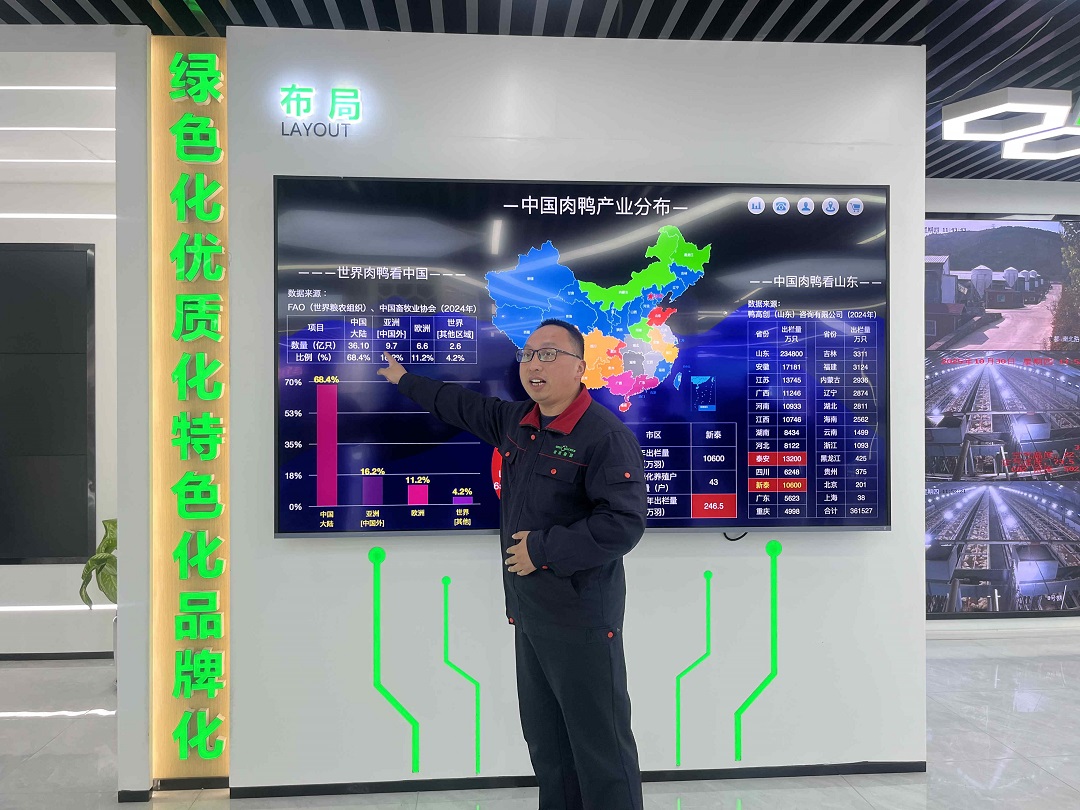 【粵港澳媒體看山東】年產值200億！走進「中國肉鴨之都」新泰