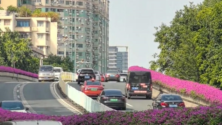 十五運會廣州單雙號限行首日，市區交通顯著改善