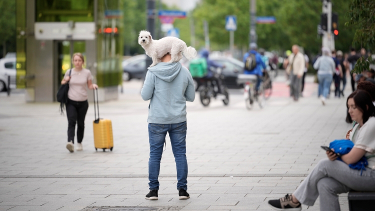 波蘭將啟動全民軍事培訓計劃