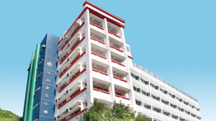 沙田官小准以簡體字應考 教育局：教學語言政策不變