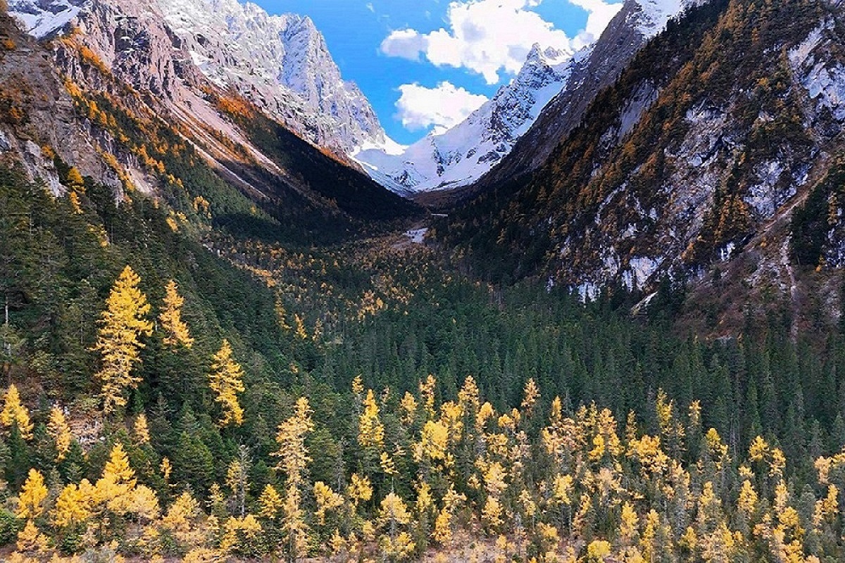 雪山＋彩林 四川平武自然課堂「研學遊」解鎖經濟新增量