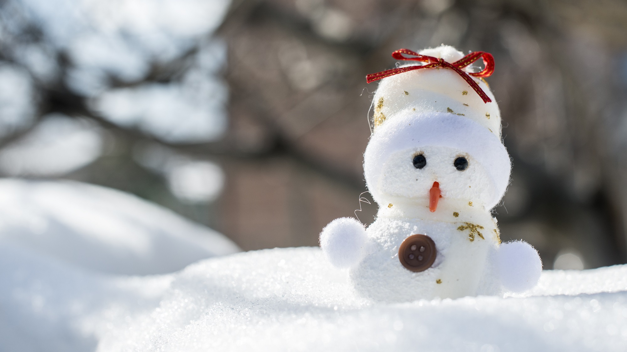 【健康】立冬養生 補腎防寒