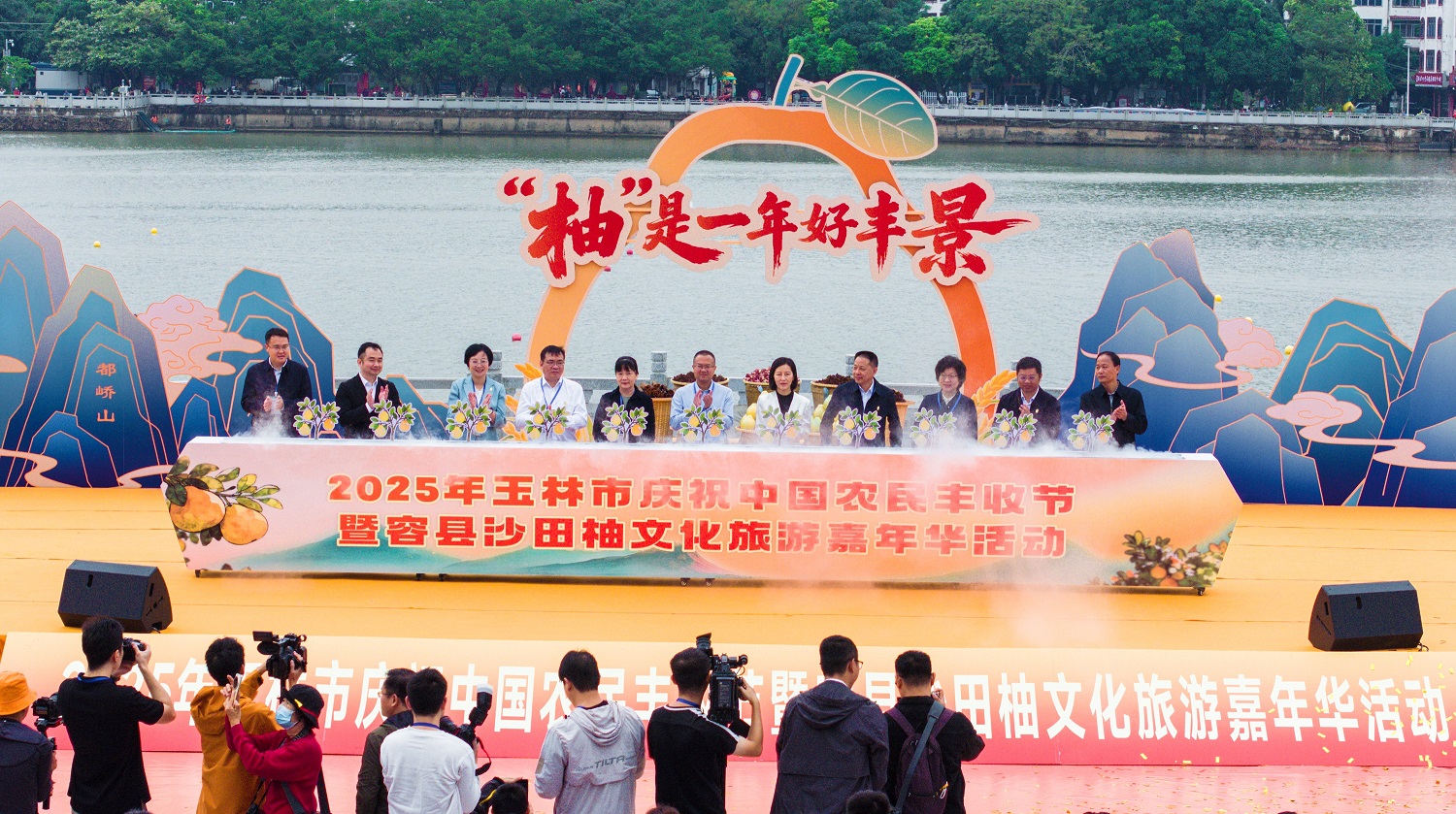 【僑鄉容縣】黨建引領沙田柚產業加速跑