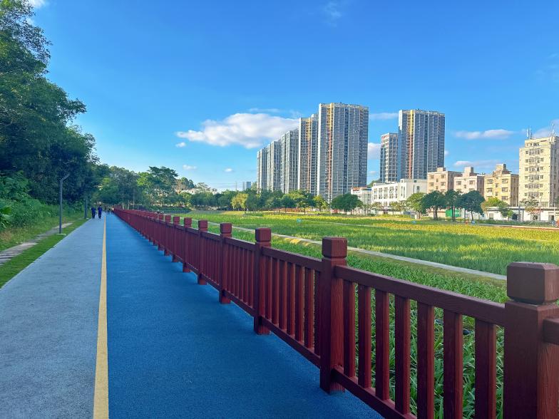 公園步道變身市民「AI私教」！ 深圳園山智能運動設施進社區