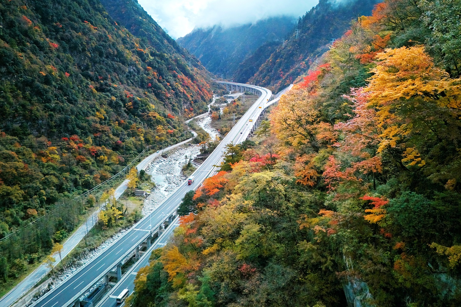 絕美彩林迎客流高峰 四川平武擎畫全域「快旅慢游」新業態
