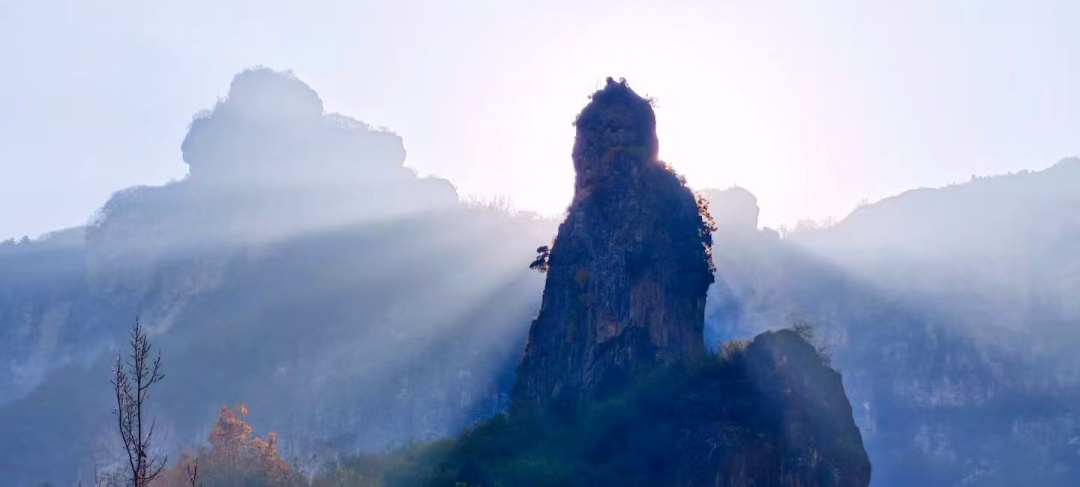 【長在隨筆】小紅