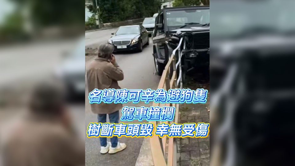 有片 | 名導陳可辛為避狗隻駕車撞欄 樹斷車頭毀 幸無受傷