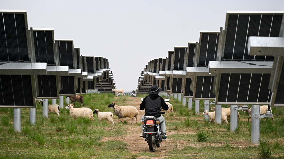 【來論】加快綠色轉型 築夢美麗中國