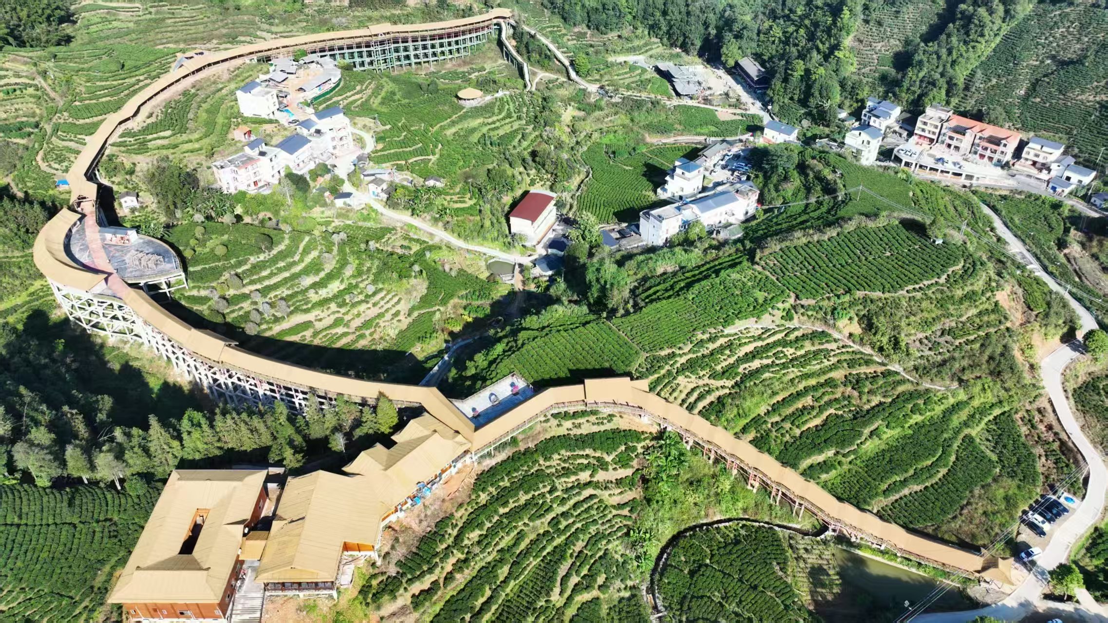 桂蒼梧六堡茶產業邁入高質量發展新階段