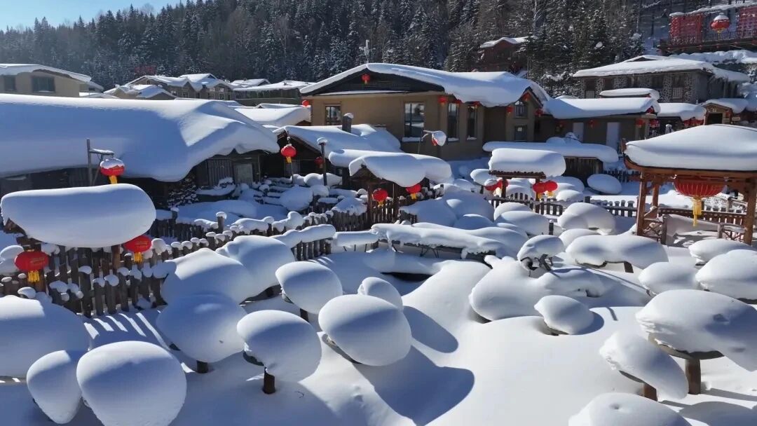 龍江森工集團：冰雪旅遊書寫產業富企新篇章