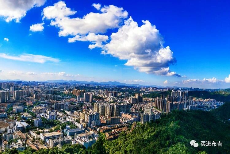 讓幹部成長與事業發展同頻共振 深圳布吉以 「四線」 育 「干將」