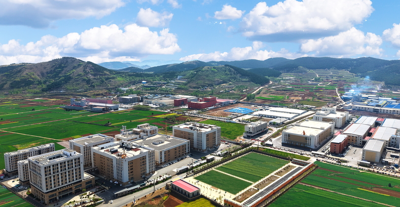 「鏈」上發力，「肉」眼可見！解碼山東臨沂肉製品產業新躍遷