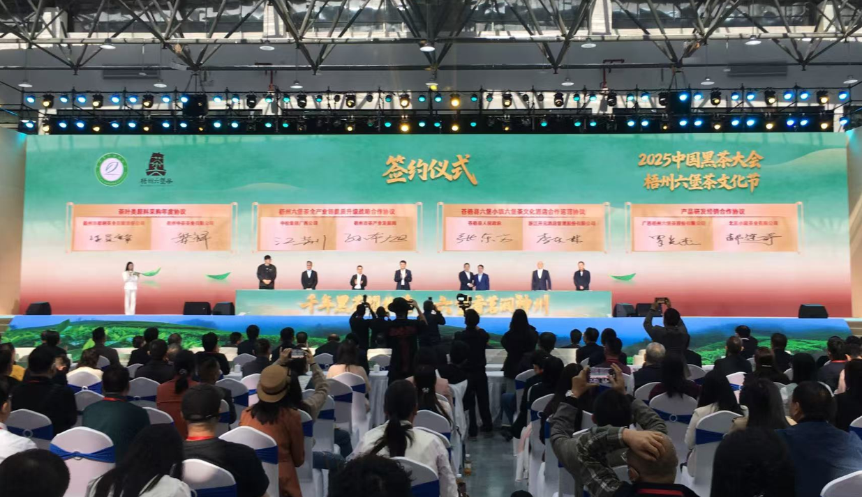 桂梧州以中國黑茶大會為契機 加快「茶文旅」融合發展
