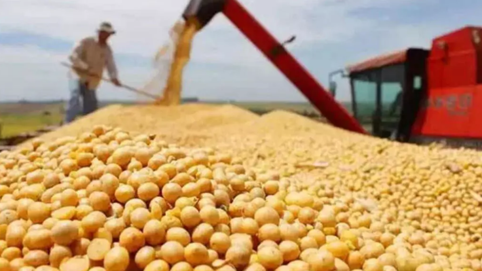 美國免除部分農產品「對等關稅」