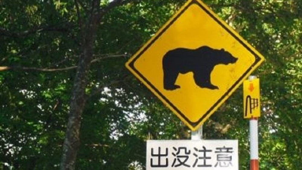 日本大學運用AI預測 公布遭遇熊風險地圖