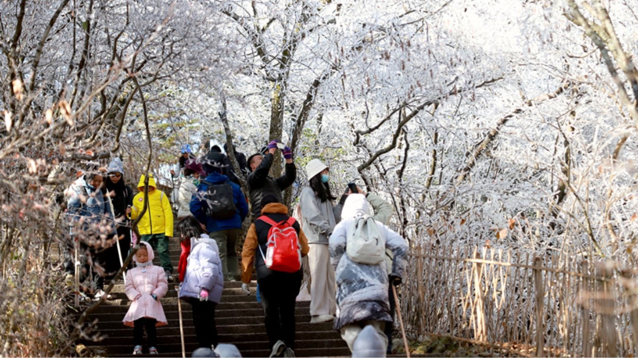 【黃山旅遊】黃山風景區：霧凇雲海「夢幻聯動」