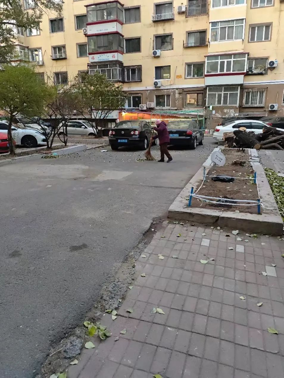 落葉「清零」暖民心  哈市香坊區風華小區物業專項行動扮靚園區環境