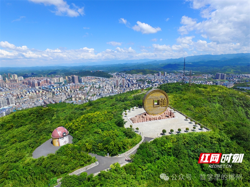 桂陽跳起來 摘的不只是「百強」