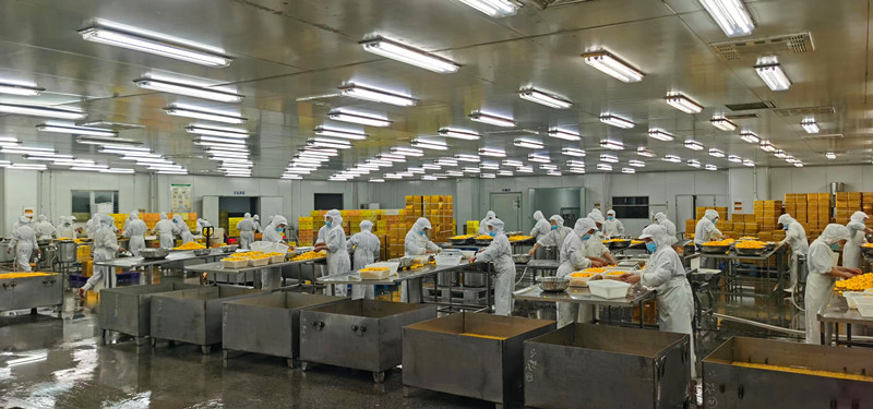 「紅引擎」激活新動能 皖黟縣開發區賦能綠色食品產業攀高向新