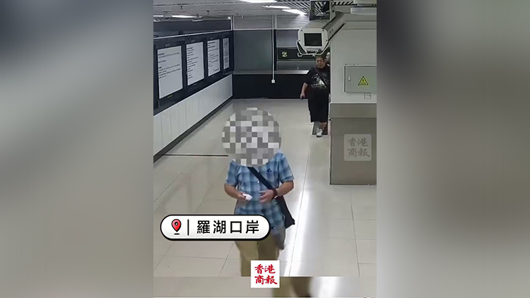 有片｜褲子口袋藏43塊非洲象牙 男子被羅湖海關截查 