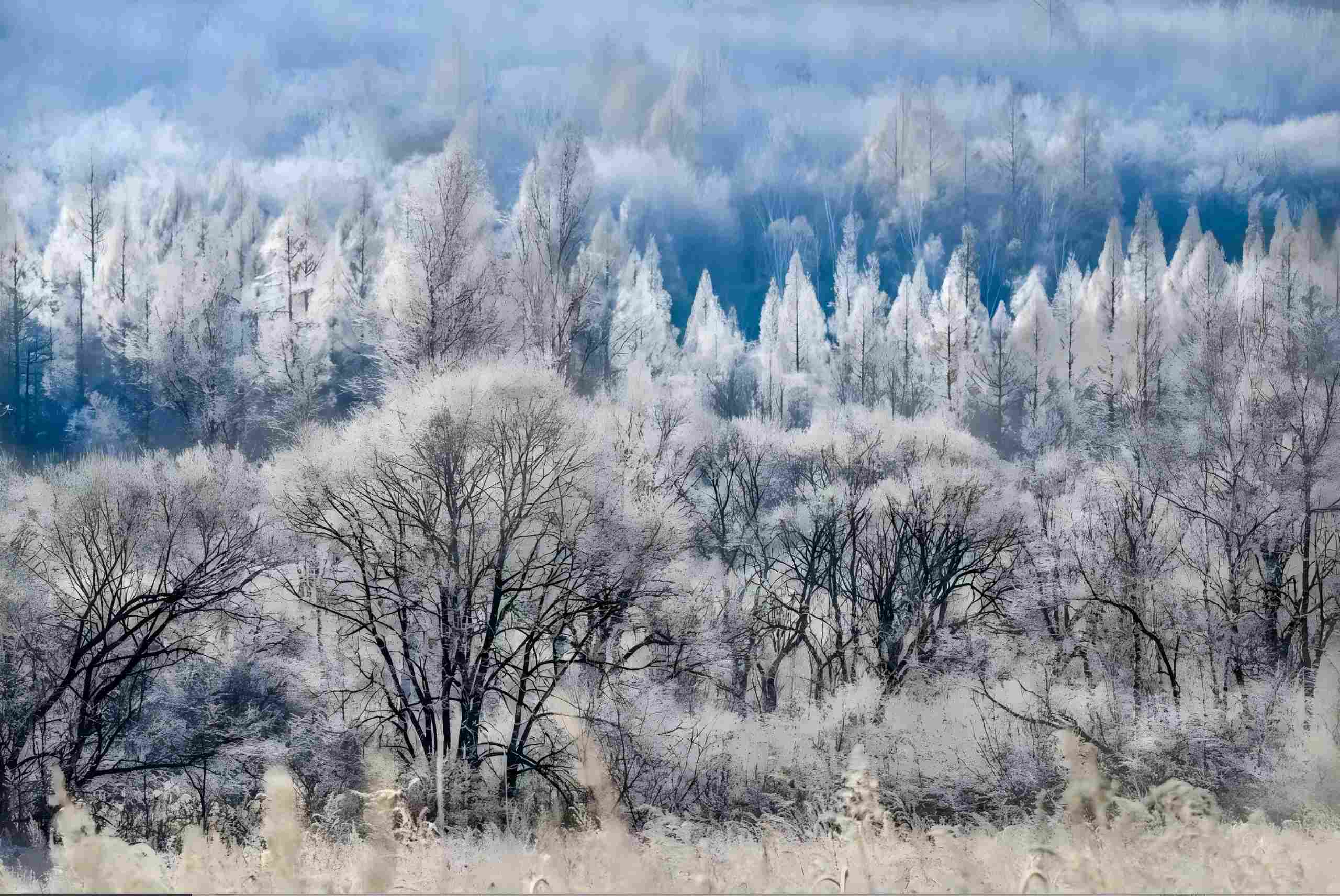 節氣專稿丨陳耀輝：小雪