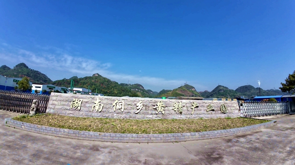 湘品出海 閃耀世界 | 湖南新晃黃精產業加速崛起 以新視野新格局開闢海外市場