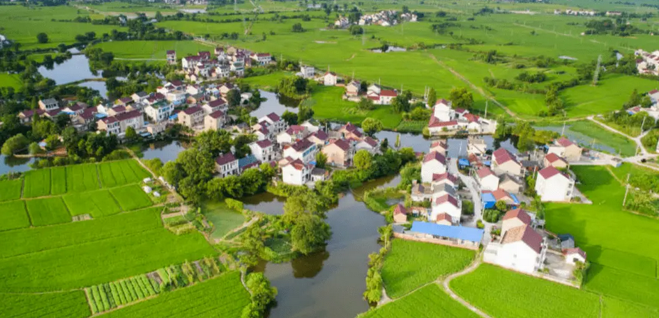 聯合國官員「取經」中國鄉村振興：為其他國家提供借鑑