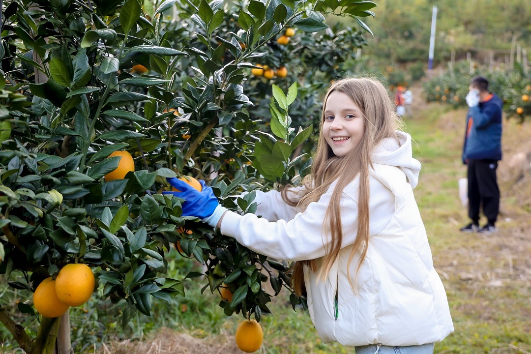  「臍」聚贛南第四屆贛南臍橙國際博覽會在贛安全啟幕