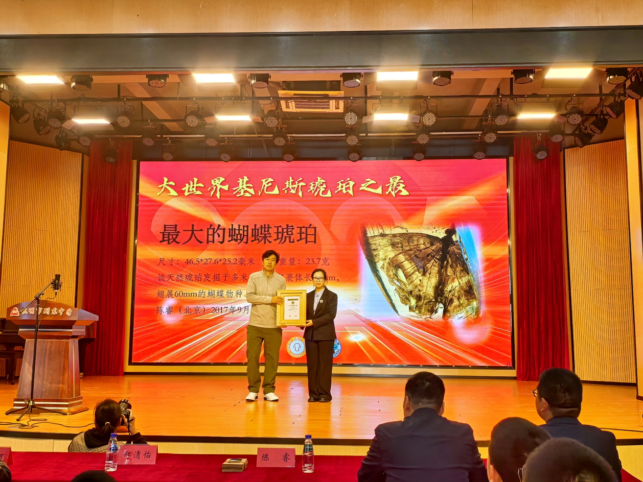 多枚世界級珍稀蟲珀創大世界基尼斯紀錄