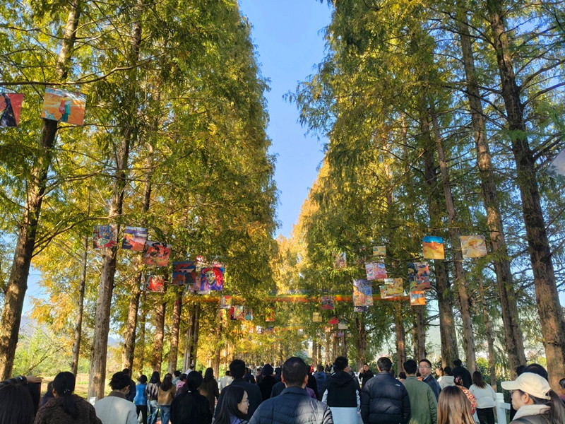 大道如畫齊雲有藝 皖休寧齊雲山大地公路藝術季拉帷
