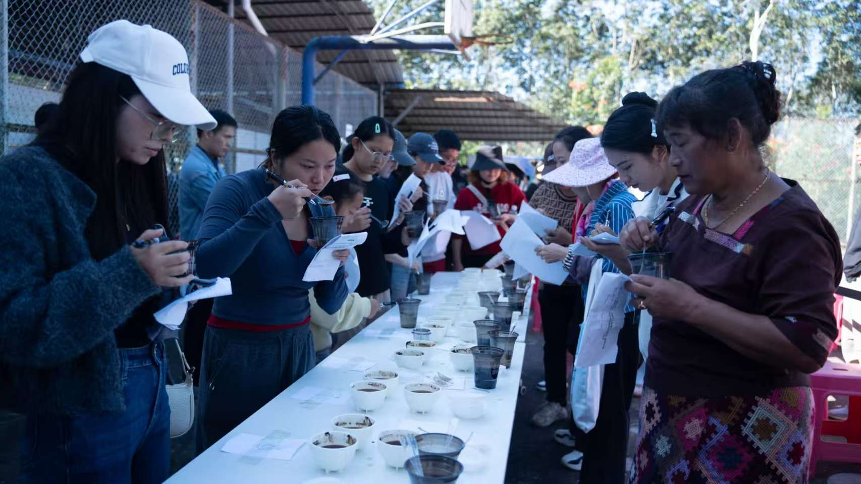 德宏「瑞吉杯」咖啡採摘大賽在瑞麗舉行