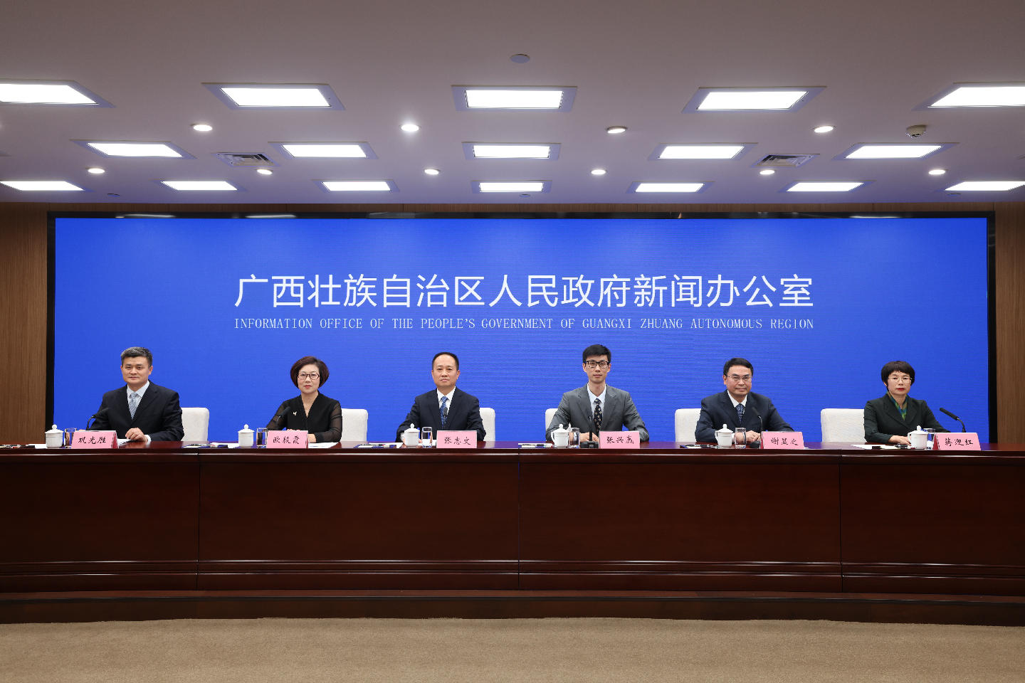 廣西以灣長制為抓手 引領美麗海灣建設