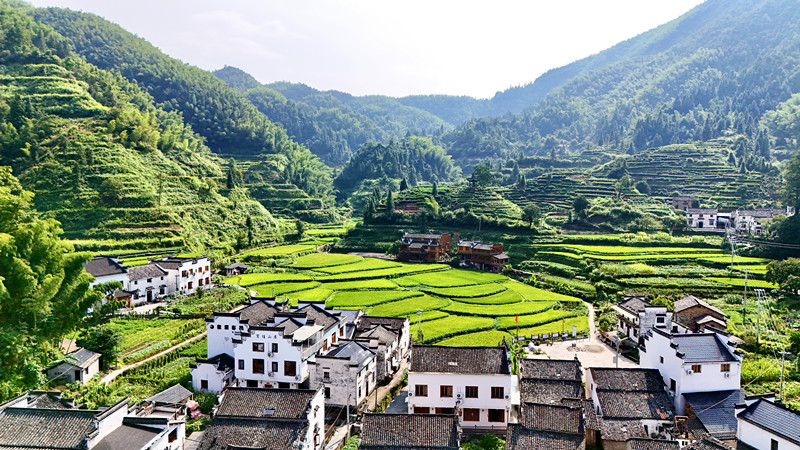 皖休寧溪口鎮：「雙車道」激活鄉村「新引擎」 祖源古村駛入振興「快車道」