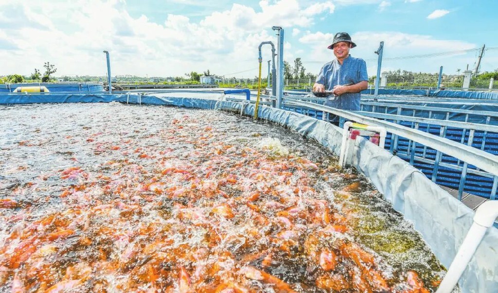 奮進的海口丨海口：科技「金鑰匙」 打開「致富門」