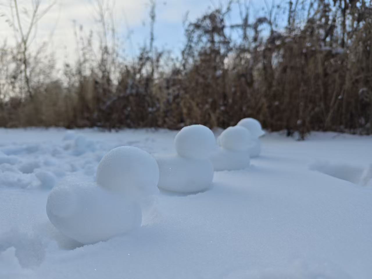冰雪為媒 童趣為引 哈市香坊區雙恆社區解鎖成年人解壓新方式