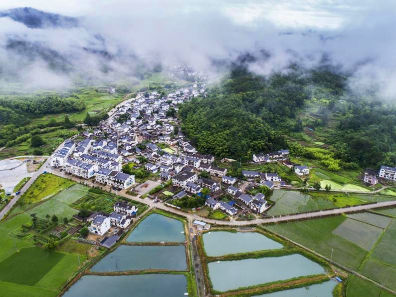 【黃山「鎮」能量】皖黃山區耿城鎮：深耕「壽」文化 溝村繪新景