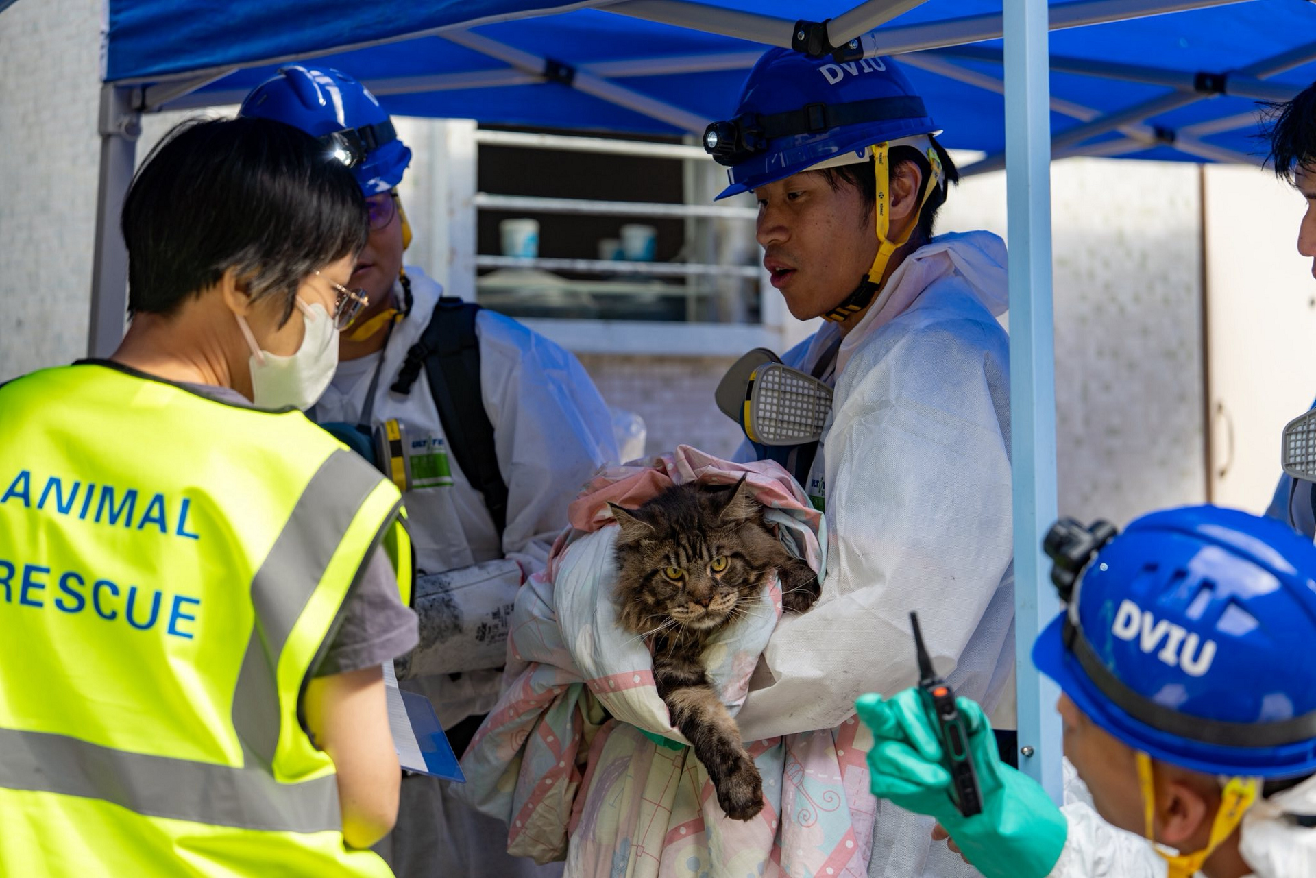 宏福苑大火丨警方爭分奪秒全力開展搜證行動