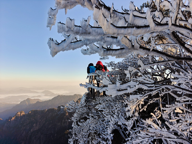 【黃山旅遊】綺夢·禪畫·仙境 黃山冬雪魅力奇絕