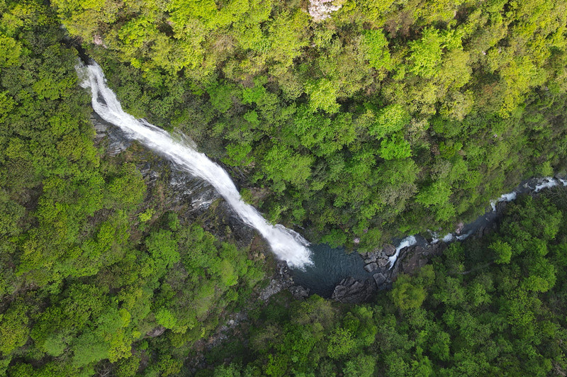 皖休寧縣：在新安源頭唱響「共富曲」