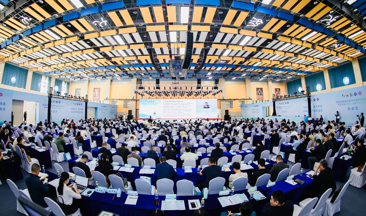 2025年石油天然氣產業綠色發展大會暨海南海洋經濟——油服產業發展大會在澄邁舉行