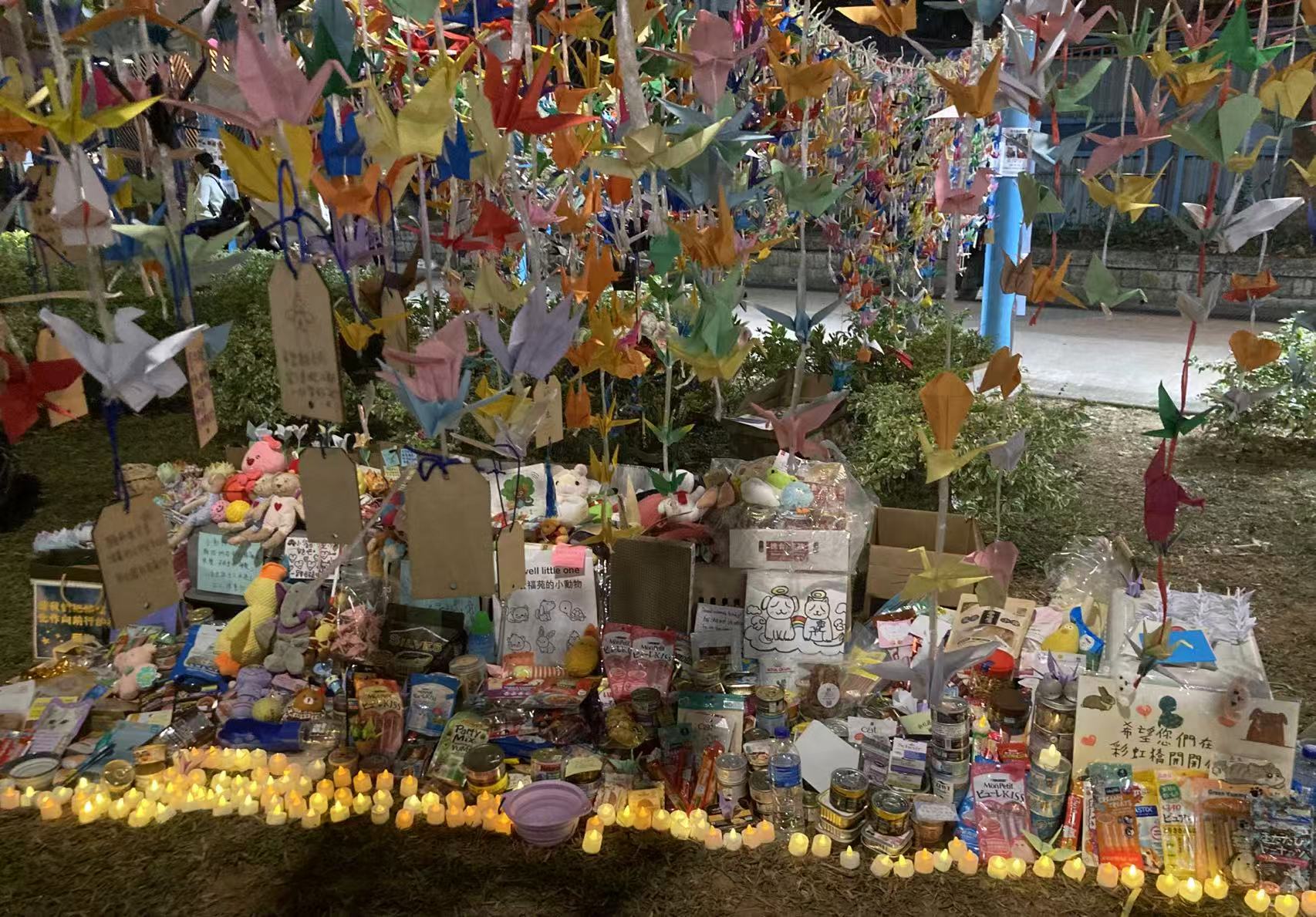 香港惠東同鄉社團聯合深圳市榮超公益基金會捐贈135萬善款