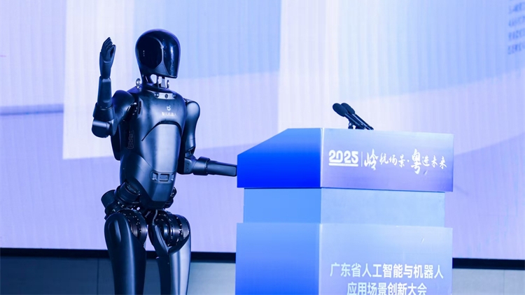 人形機器人發布政務創新案例 粵港澳大灣區智慧治理邁入新階段