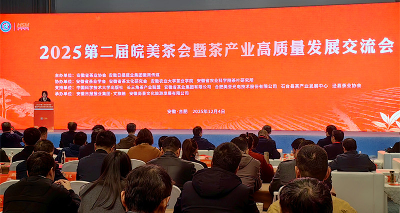 【皖美徽茶縣長說】休寧縣副縣長胡芬：聚力打造全國茶葉精深加工重要集聚區