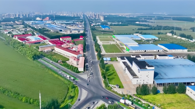 砥礪奮進新征程 雙城堡振興出彩 哈爾濱雙城區「十四五」高質量發展交出亮眼答卷