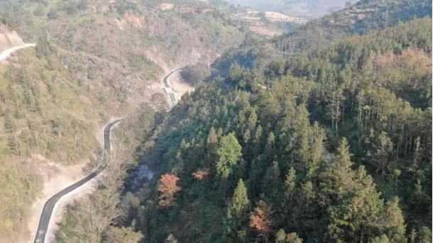 「十四五」硯山答卷 | 生態增綠 產業增收  硯山林草高質量發展的探索之路