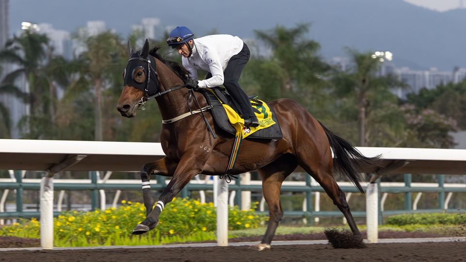 嘉應高昇衝擊16連勝 潘頓：感恩遇上策騎以來最出色一駒